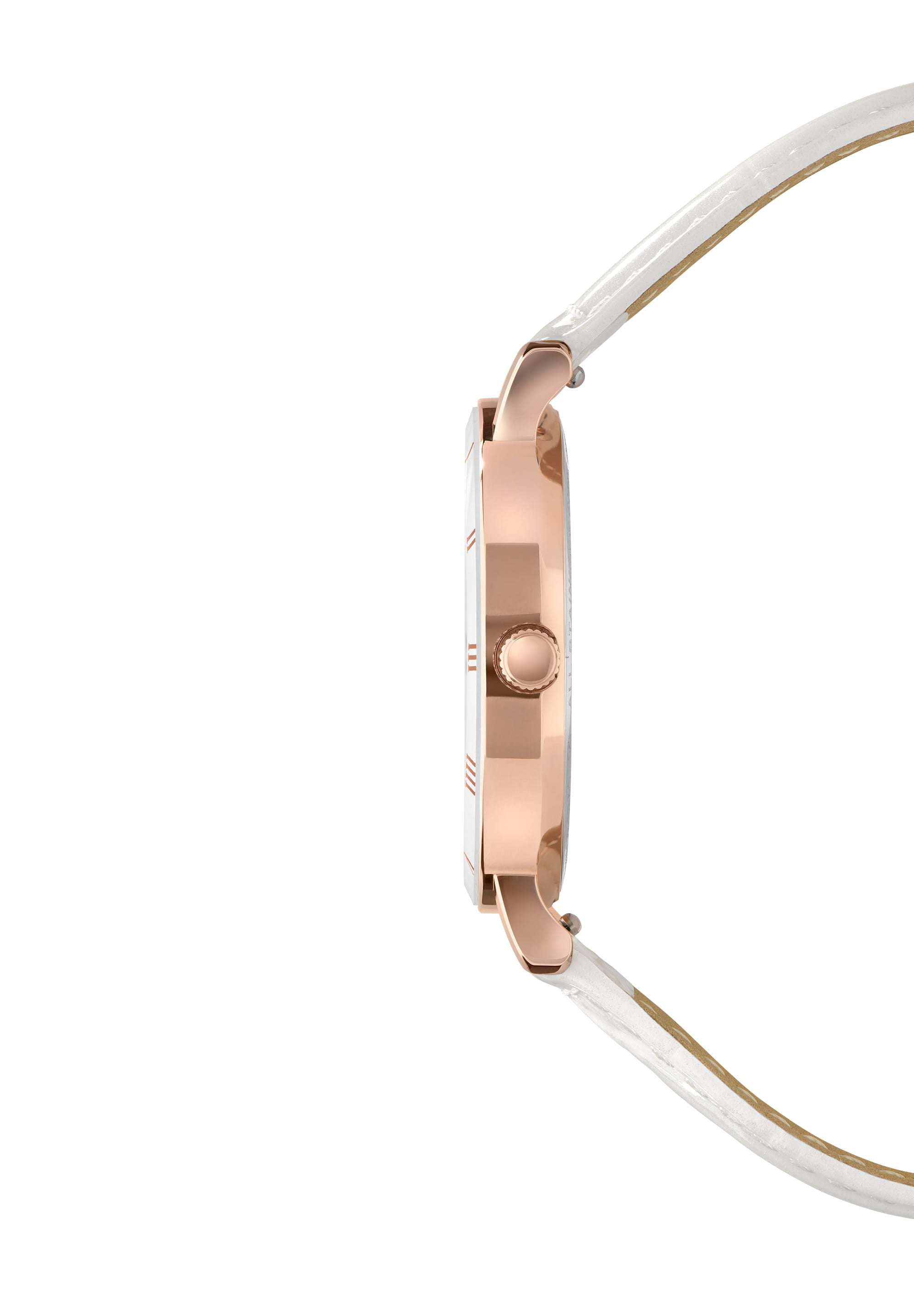 Roma Swiss Ladies Watch J2.310.M