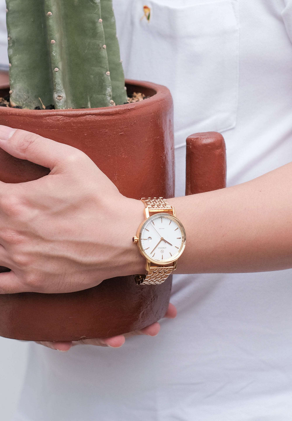 Gold mens watch - swiss made watch for men with gold strap and white dial - watch worn by a man holding a cactus