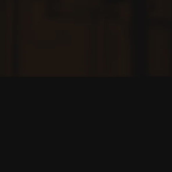 Swiss Blue and Silver watch for ladies - with silver strap and blue dial - all swiss made watch for women