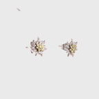 Edelweiss Boucles d'oreilles JS.0208.B