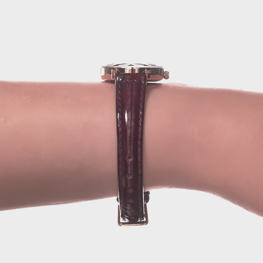 Aura Swiss Ladies Watch J5.649.S